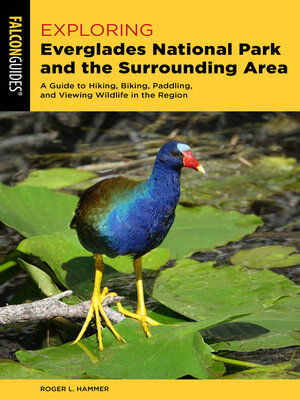 cover image of Exploring Everglades National Park and the Surrounding Area